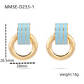 Oil drop striped niche design stainless steel earrings